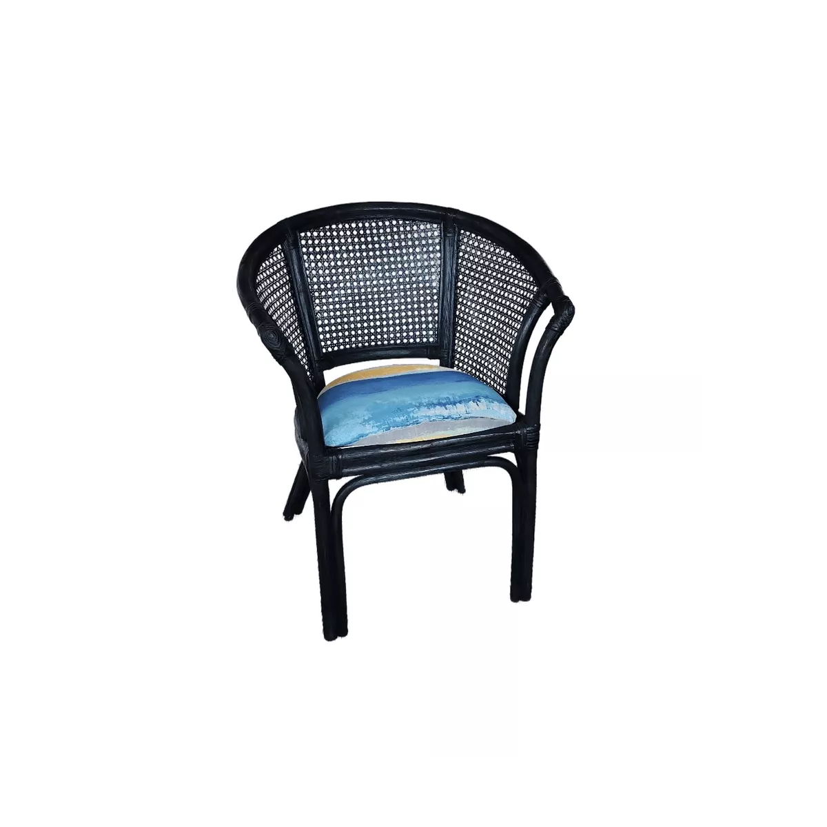 Fauteuil Lisa Bleu