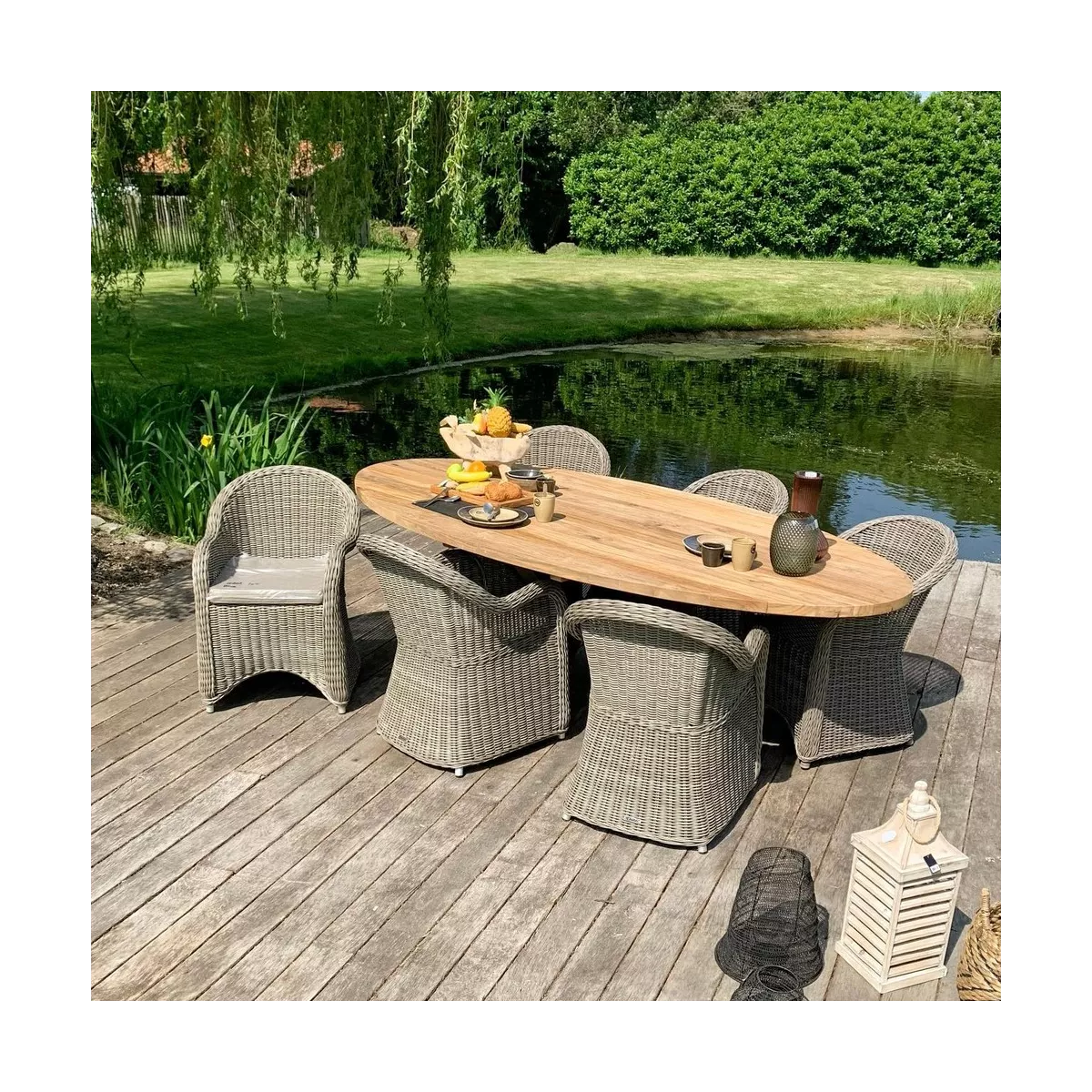 Fauteuil de repas Darwin