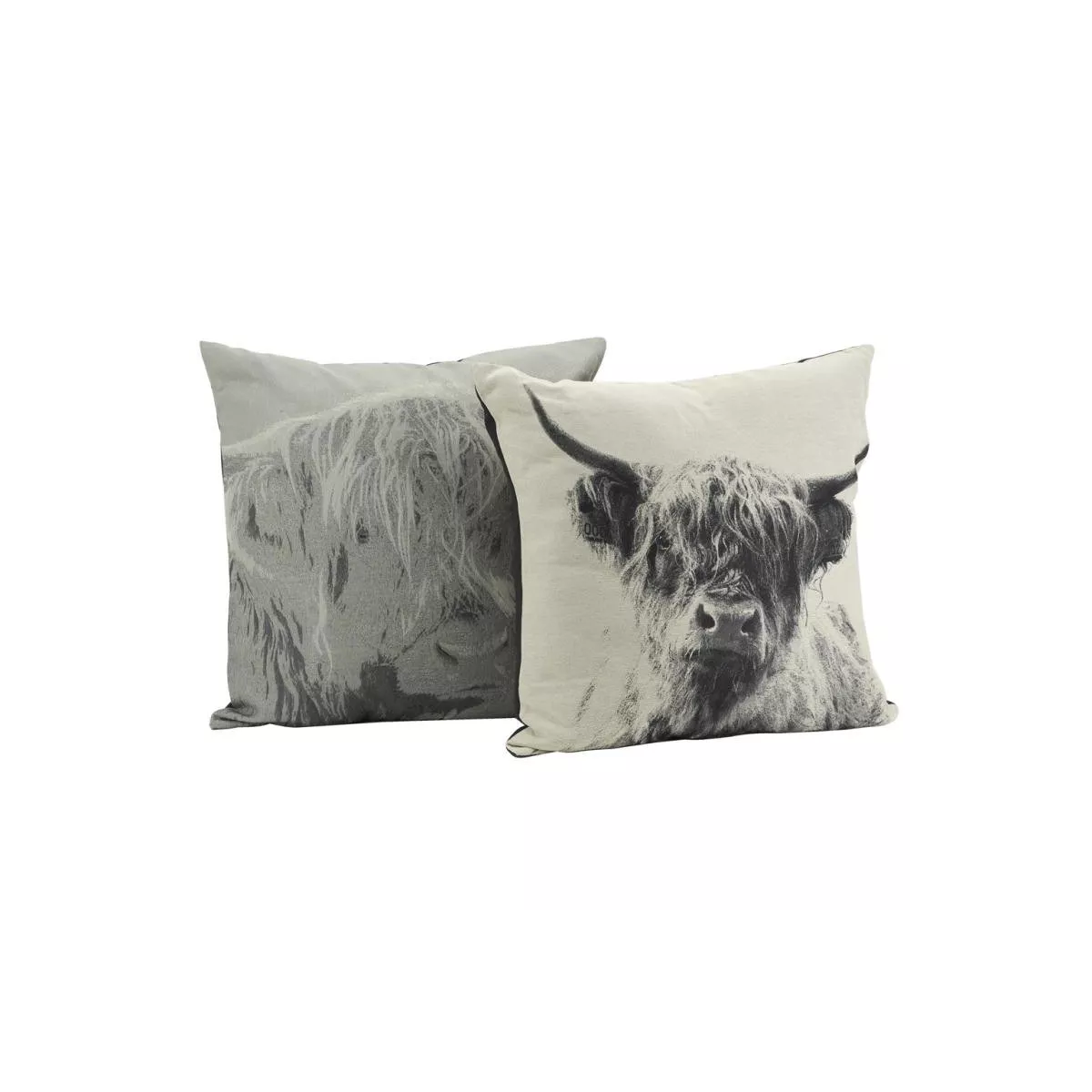 Coussin Bison 60x60