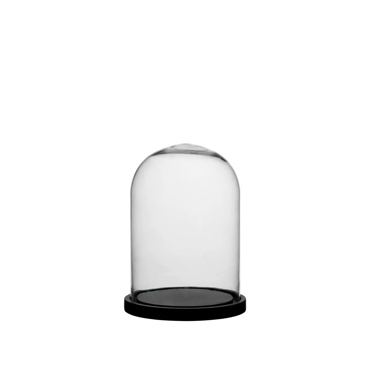 Décoration Oiseaux  sous verre