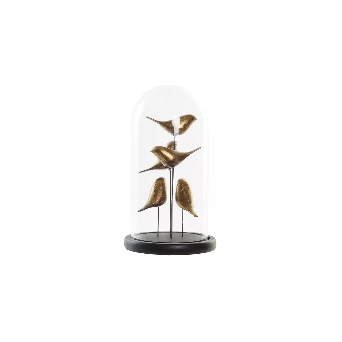 Décoration Oiseaux  sous verre