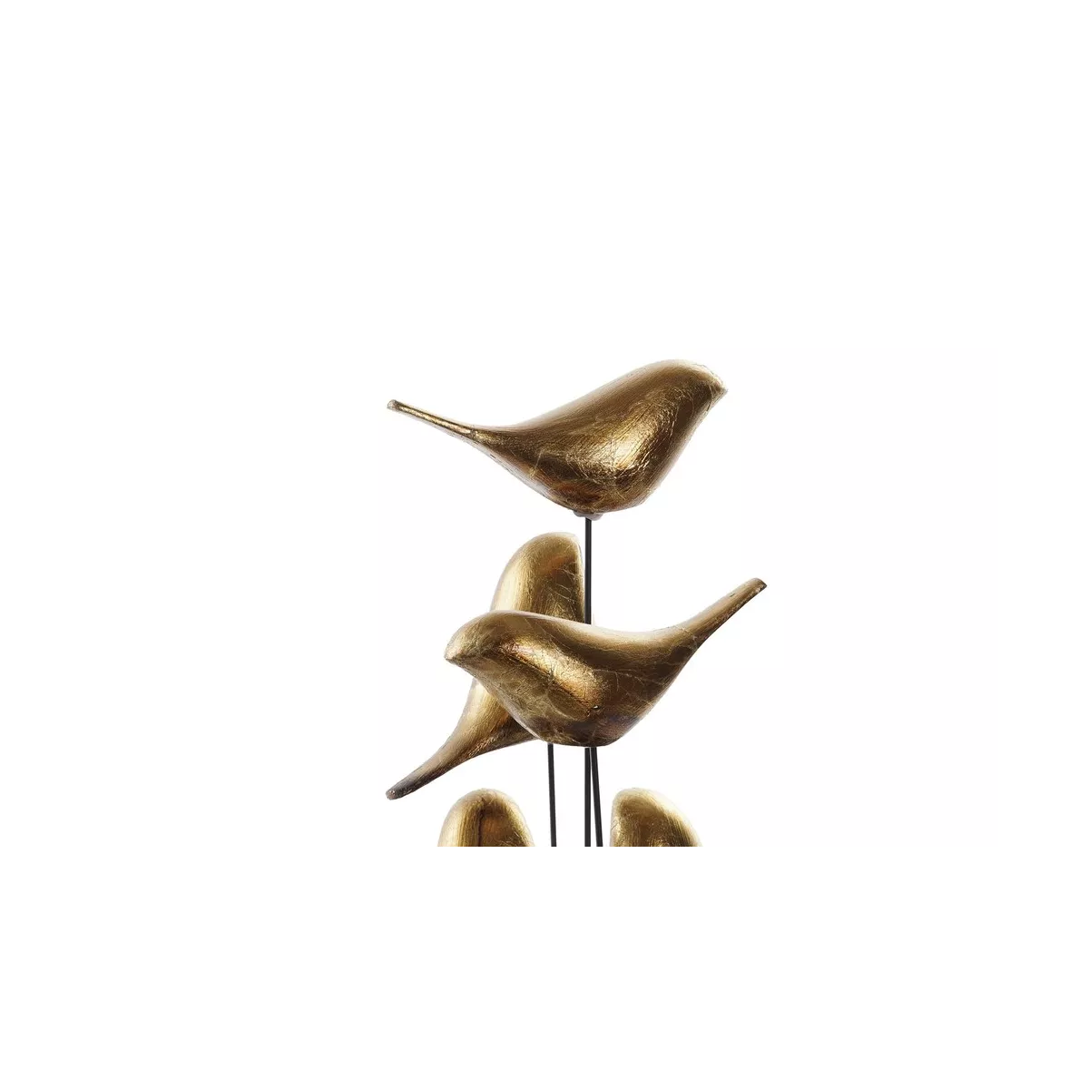Décoration Oiseaux  sous verre
