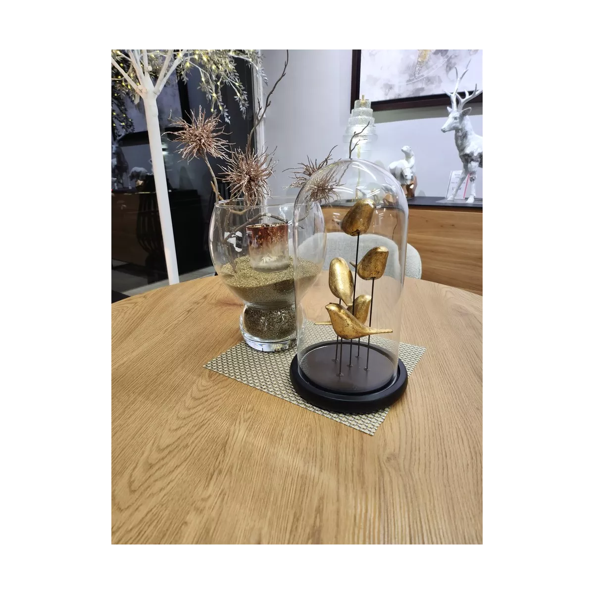 Décoration Oiseaux  sous verre