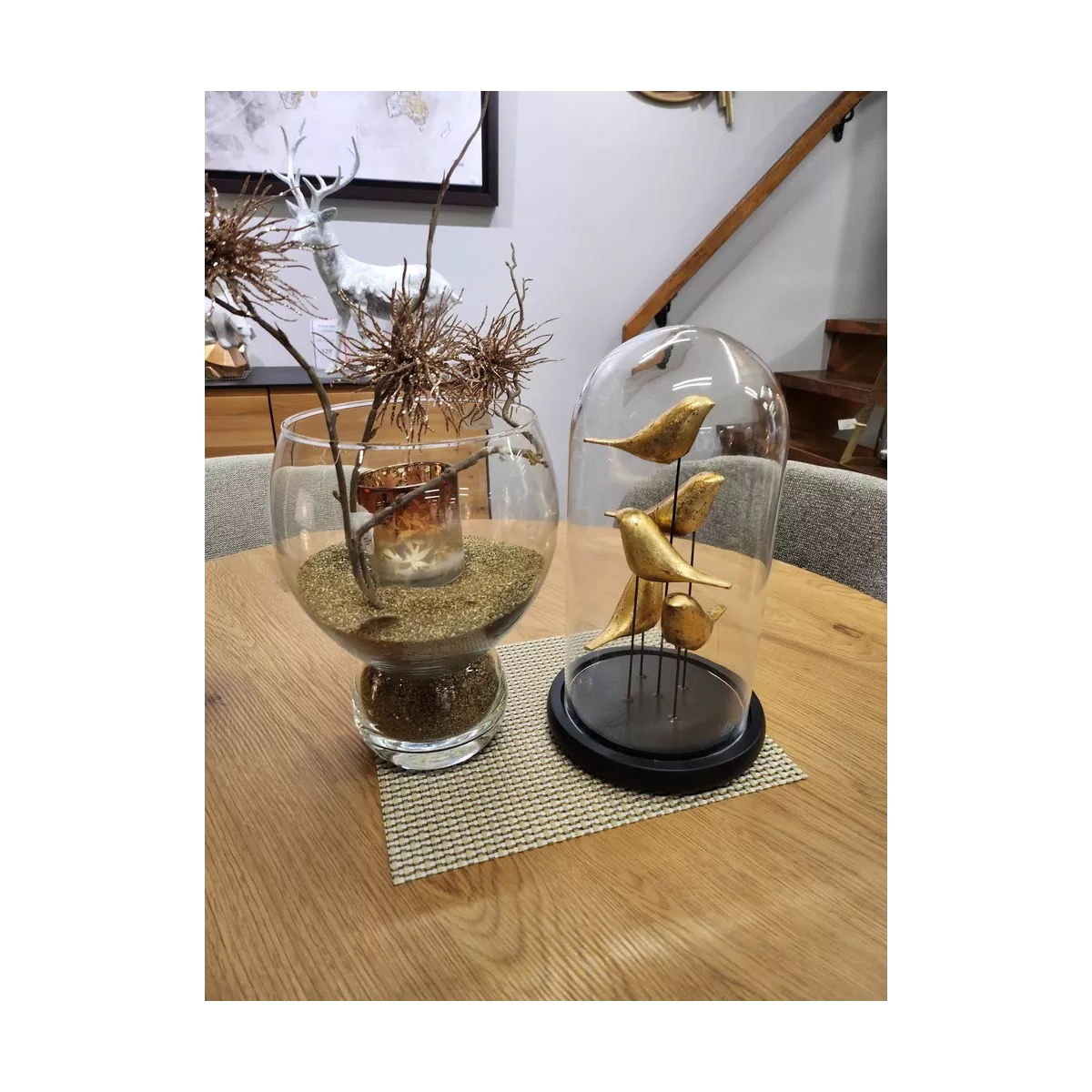 Décoration Oiseaux  sous verre