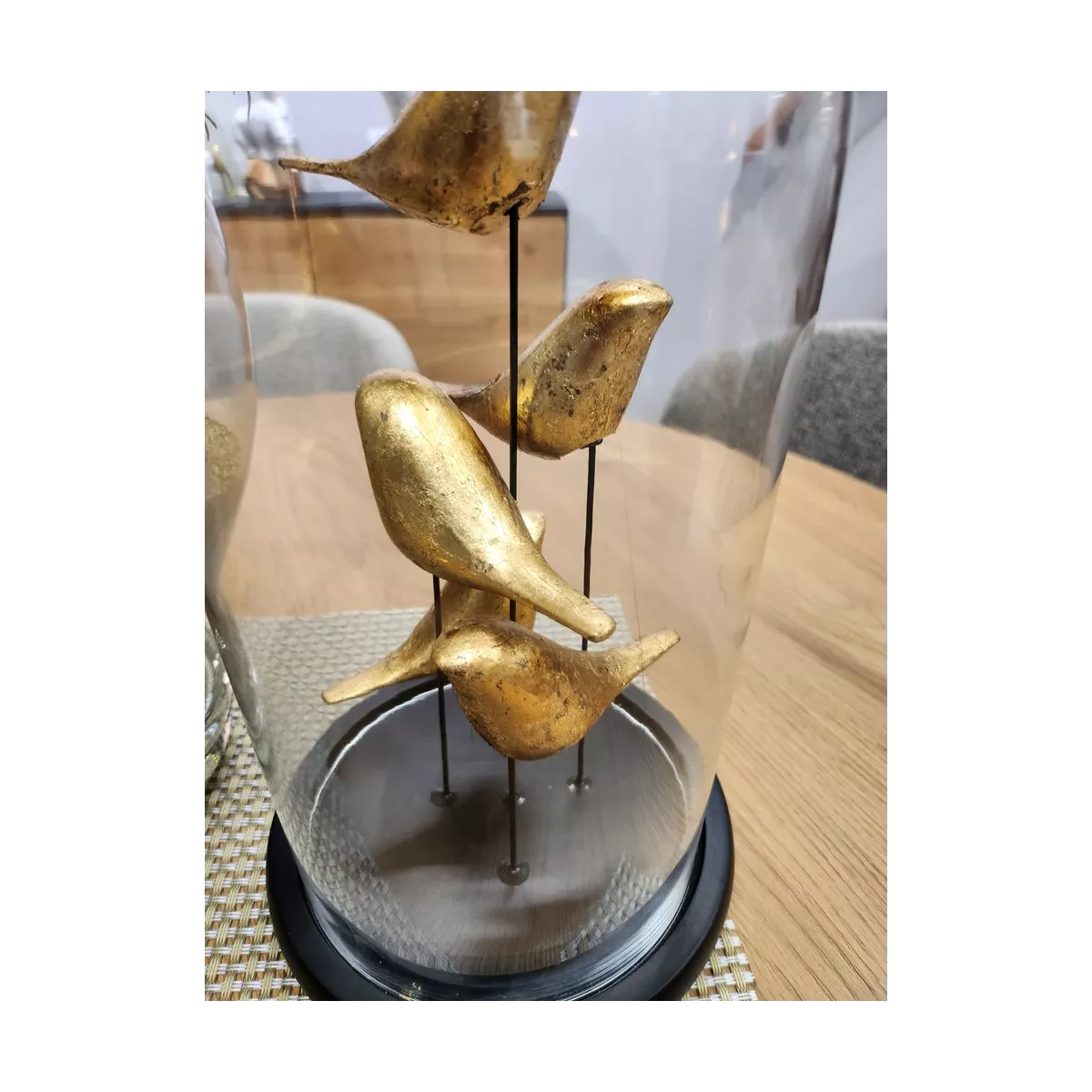 Décoration Oiseaux  sous verre