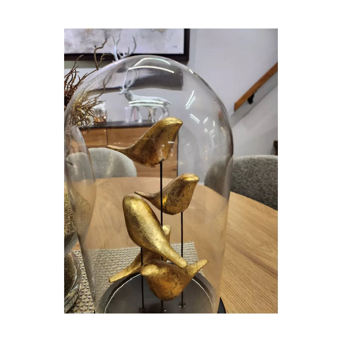 Décoration Oiseaux  sous verre