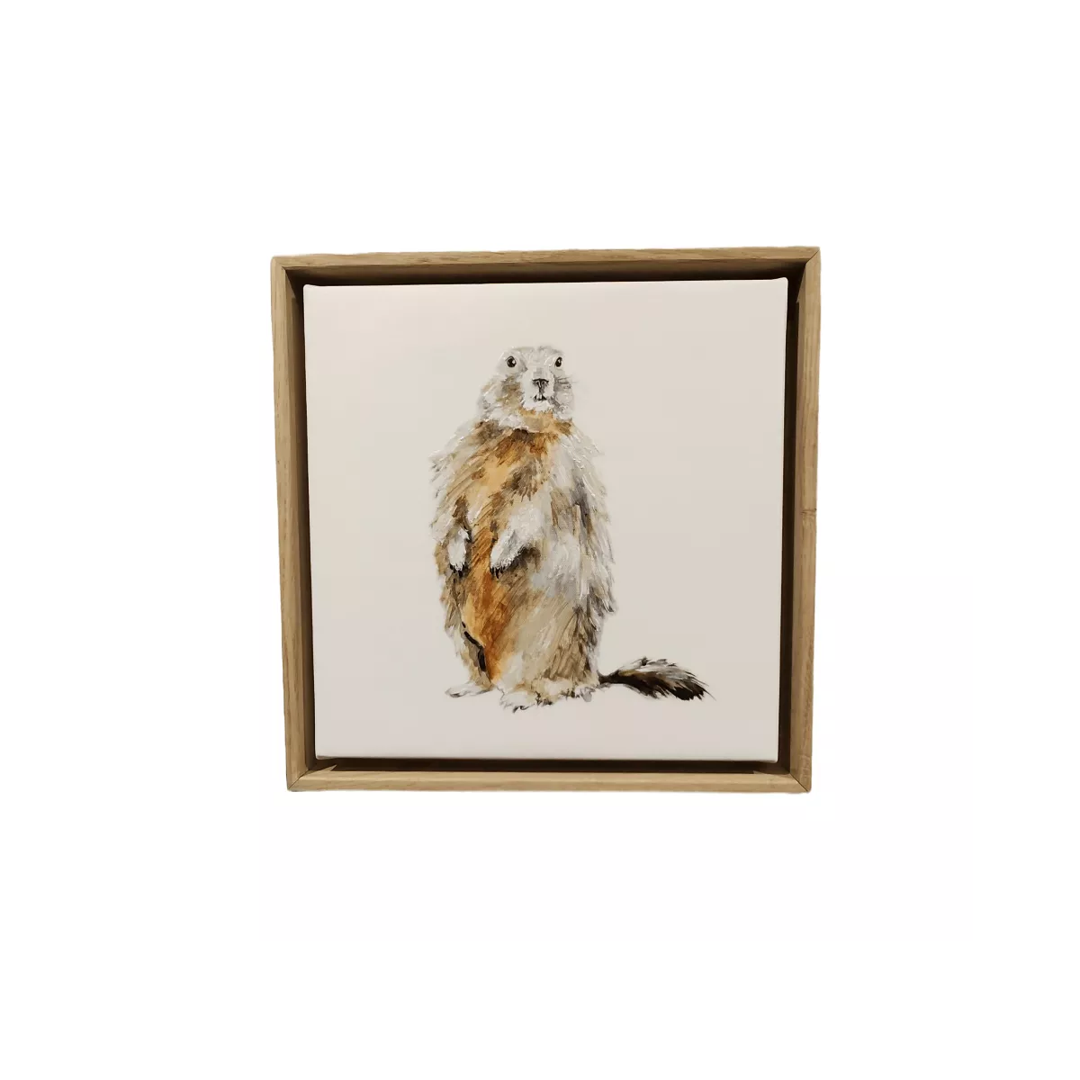 Tableau Marmotte 34x34