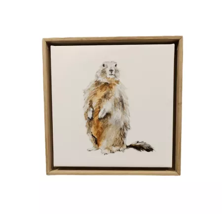 Tableau Marmotte 34x34