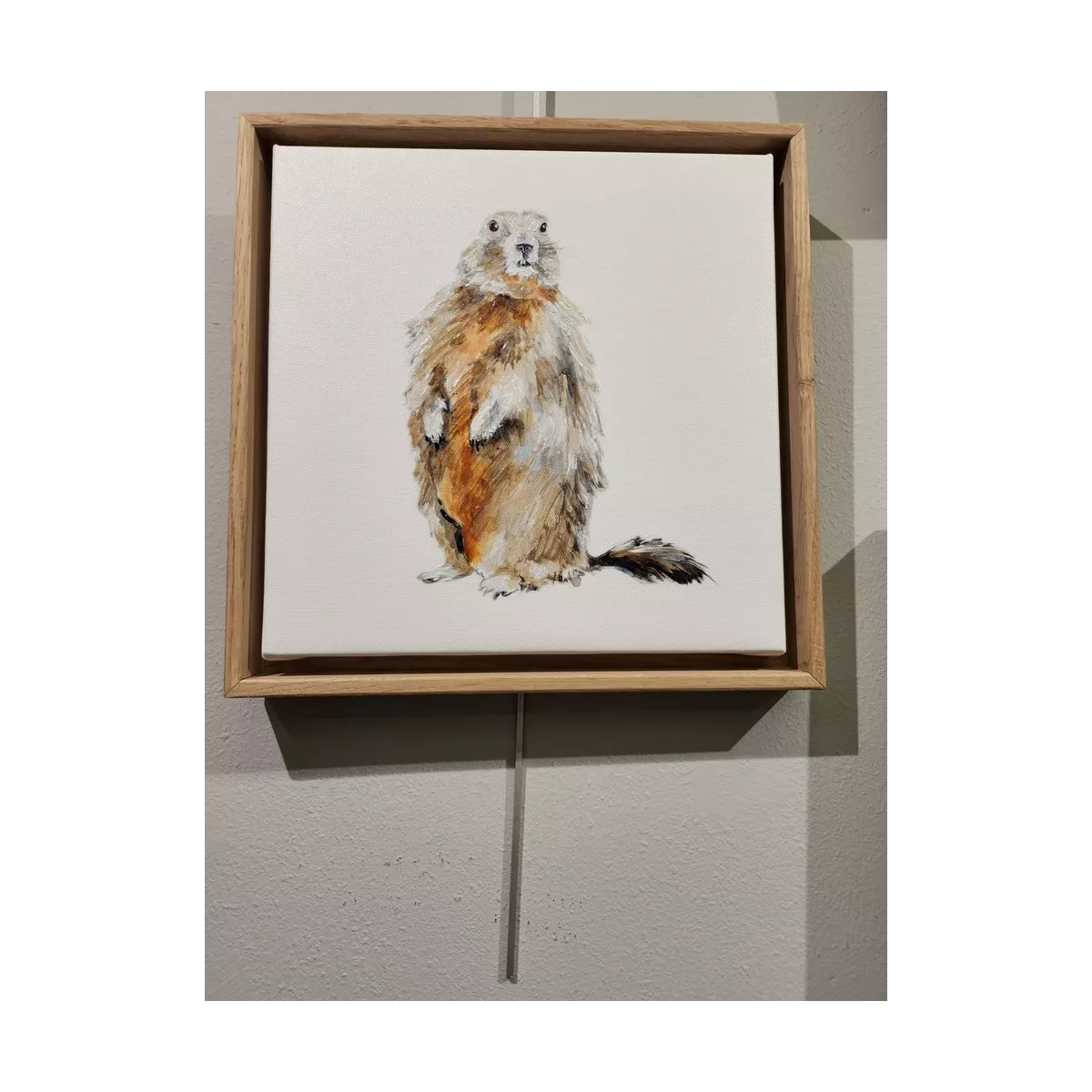 Tableau Marmotte 34x34