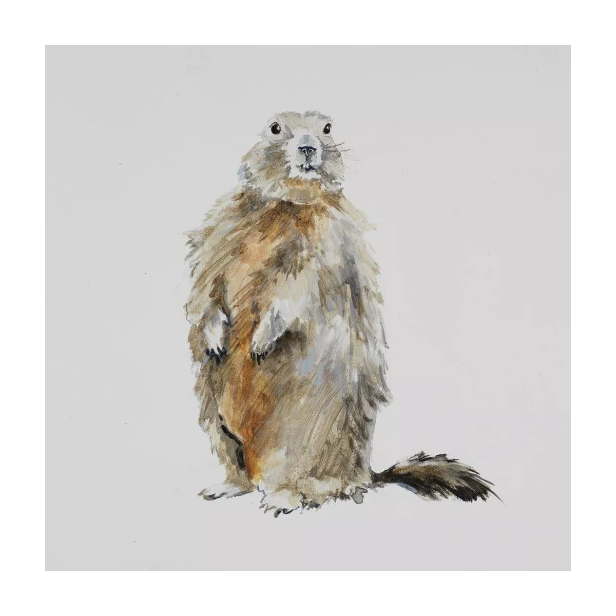 Tableau Marmotte 34x34