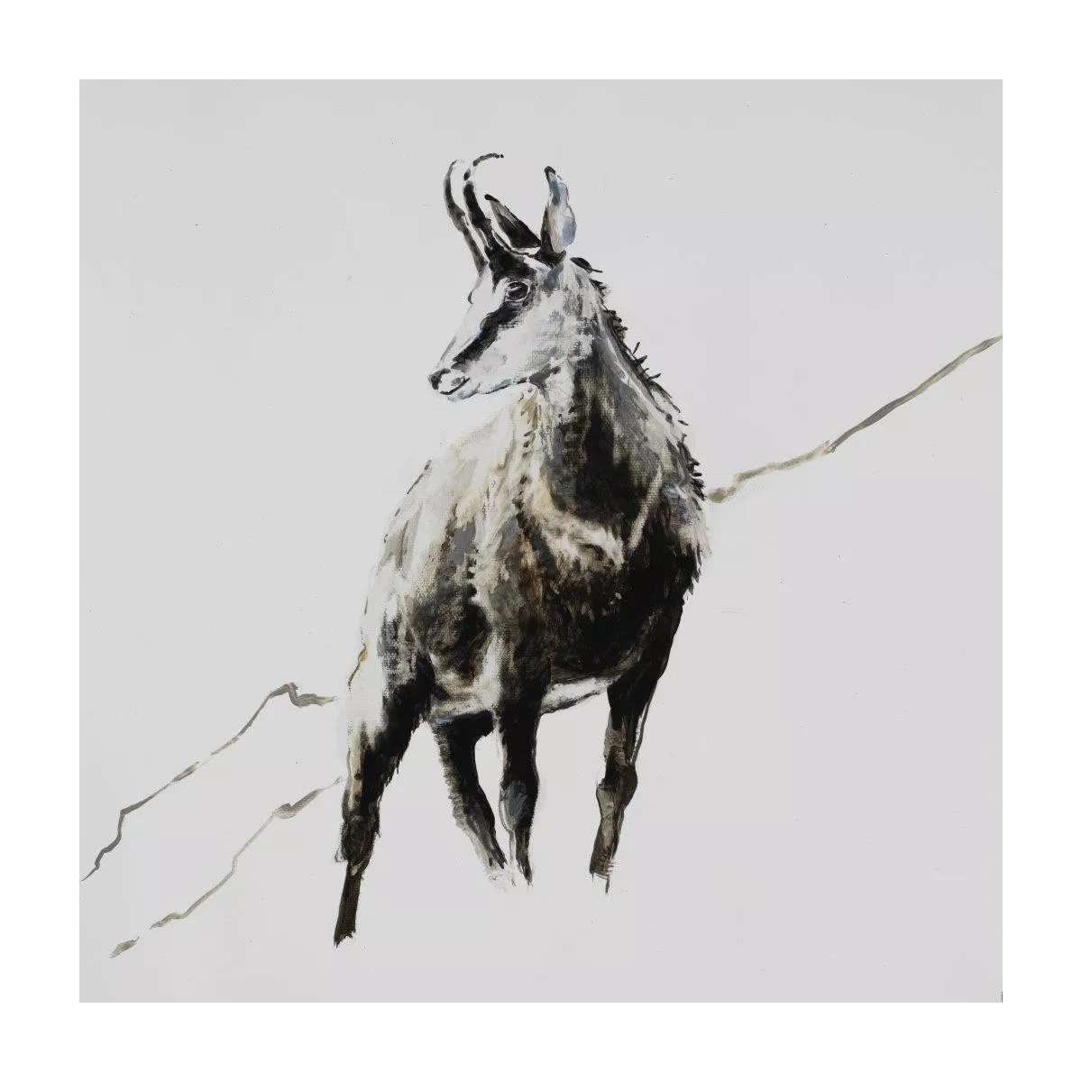 Tableau Chamois 34x34