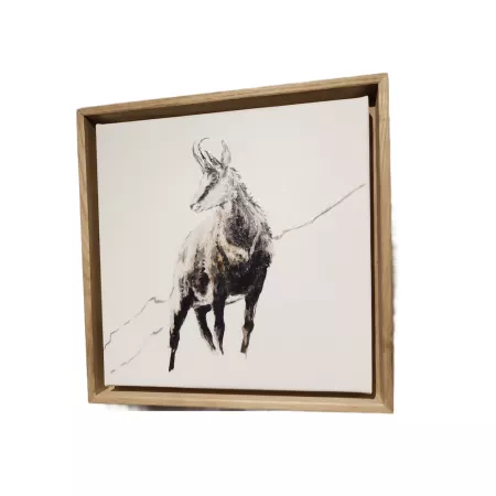 Tableau Marmotte 34x34
