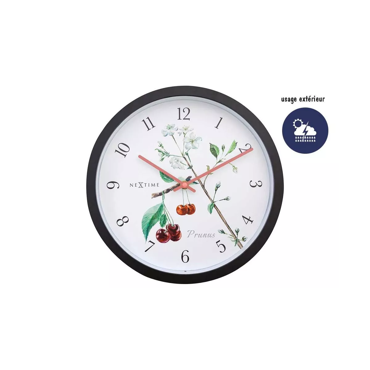 Horloge Prunus Extérieur 30x30