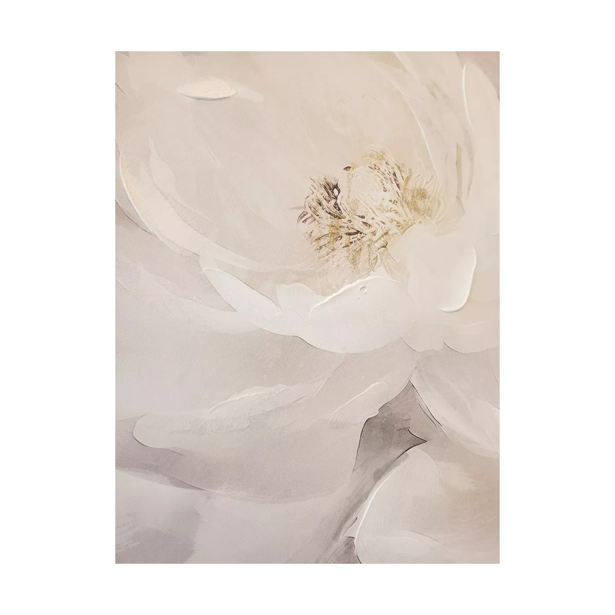 Tableau Roses Blanches avec Encadrement en verre 73x73
