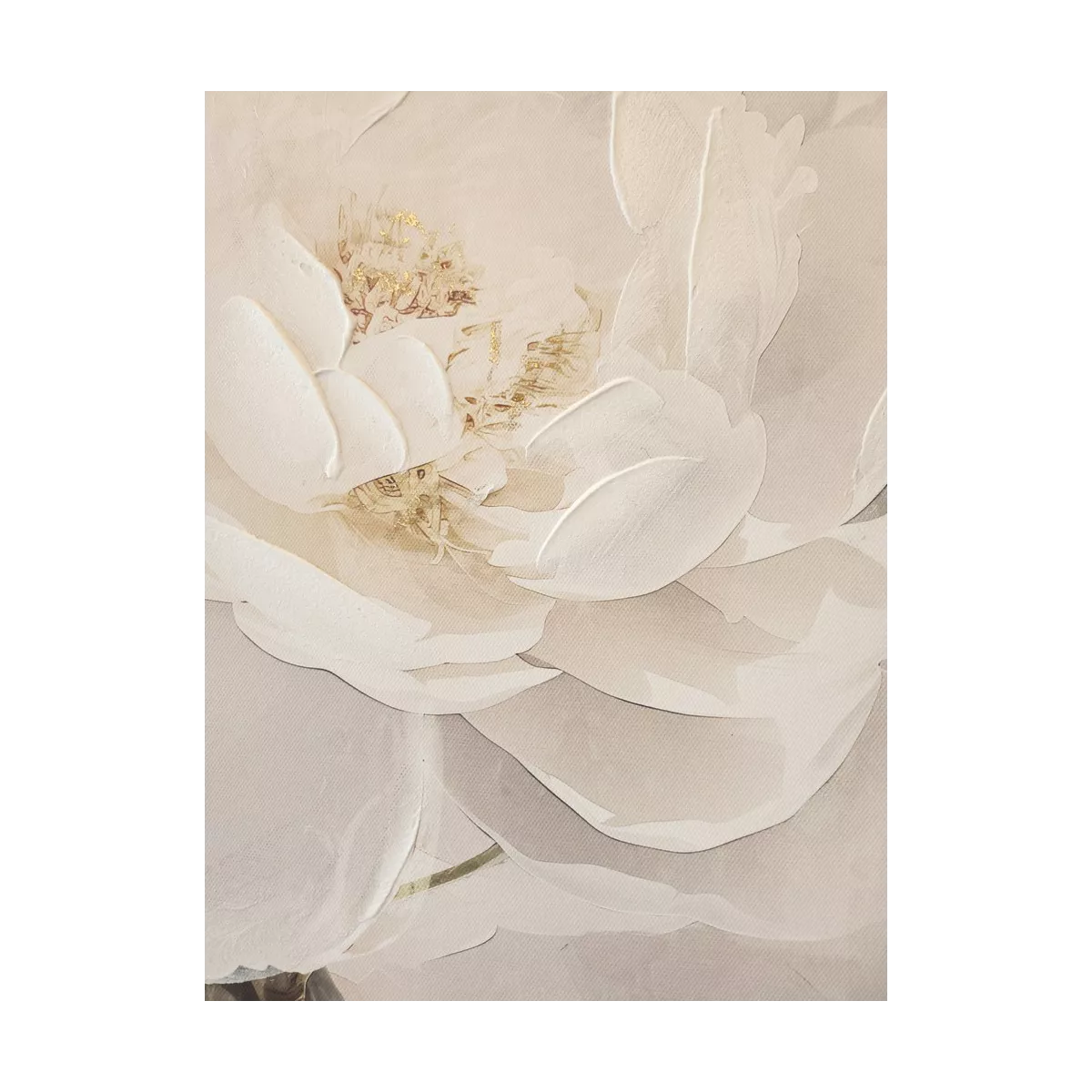 Tableau Roses Blanches 60x60
