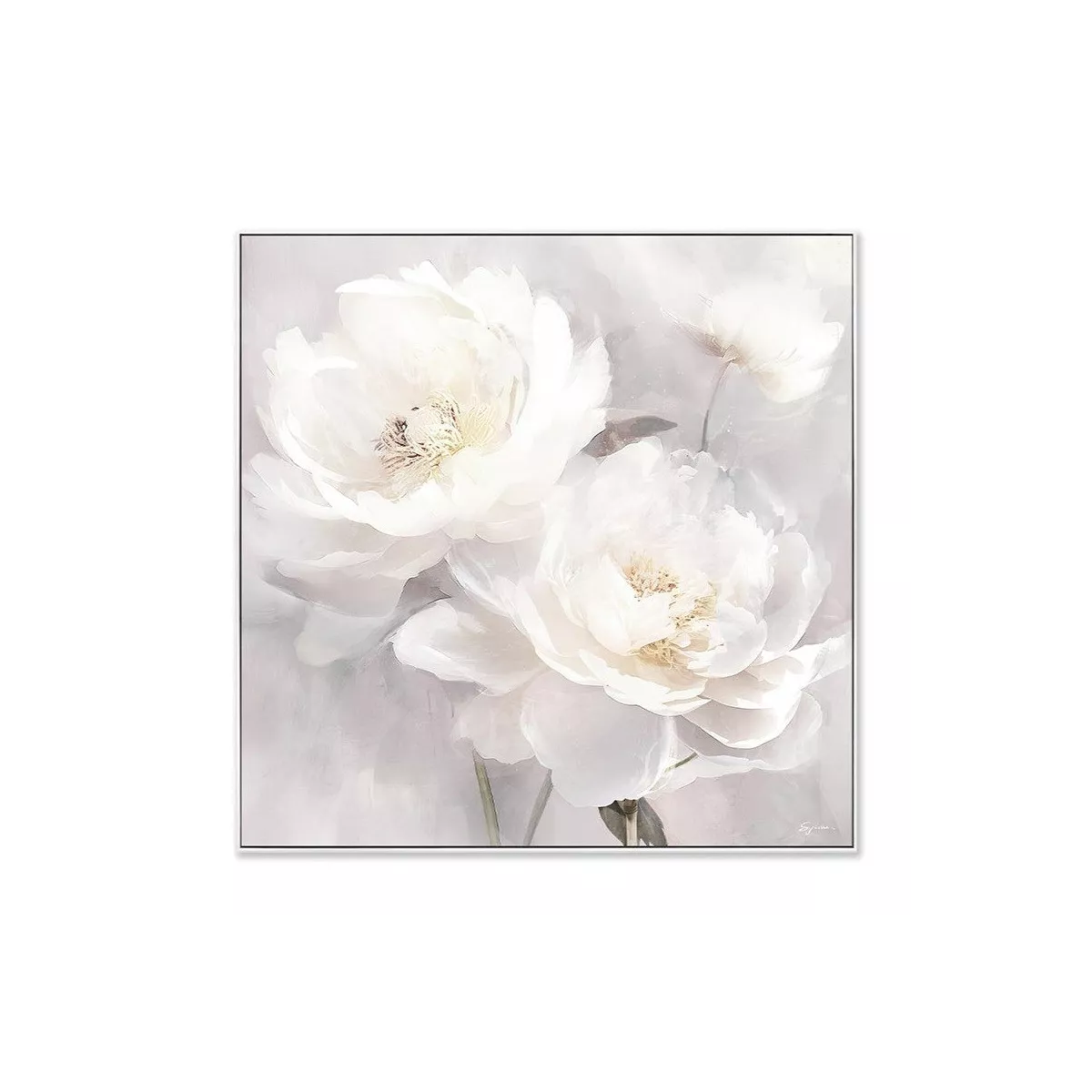 Tableau Roses Blanches 60x60