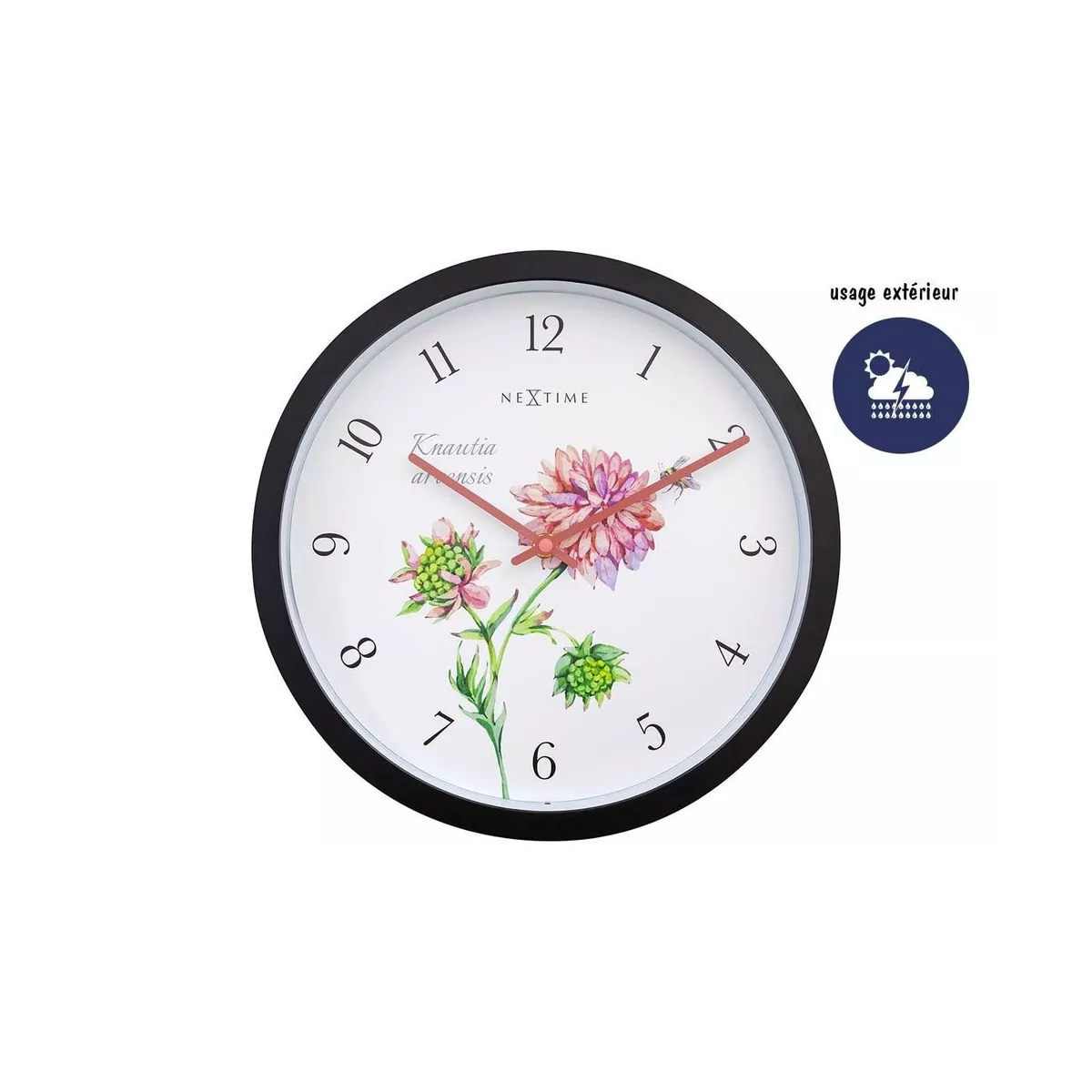 Horloge Knautia Extérieur 30x30