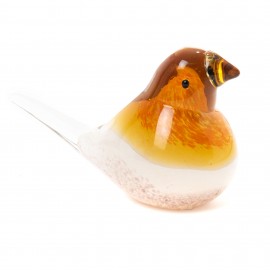 Oiseau Exotic en pate de verre 12x9