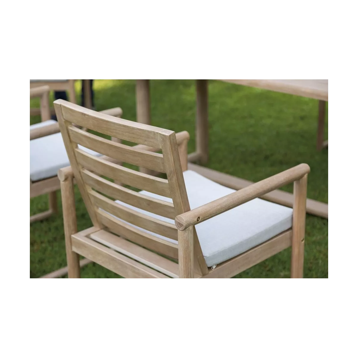 Fauteuil de Repas Green Eucalyptus