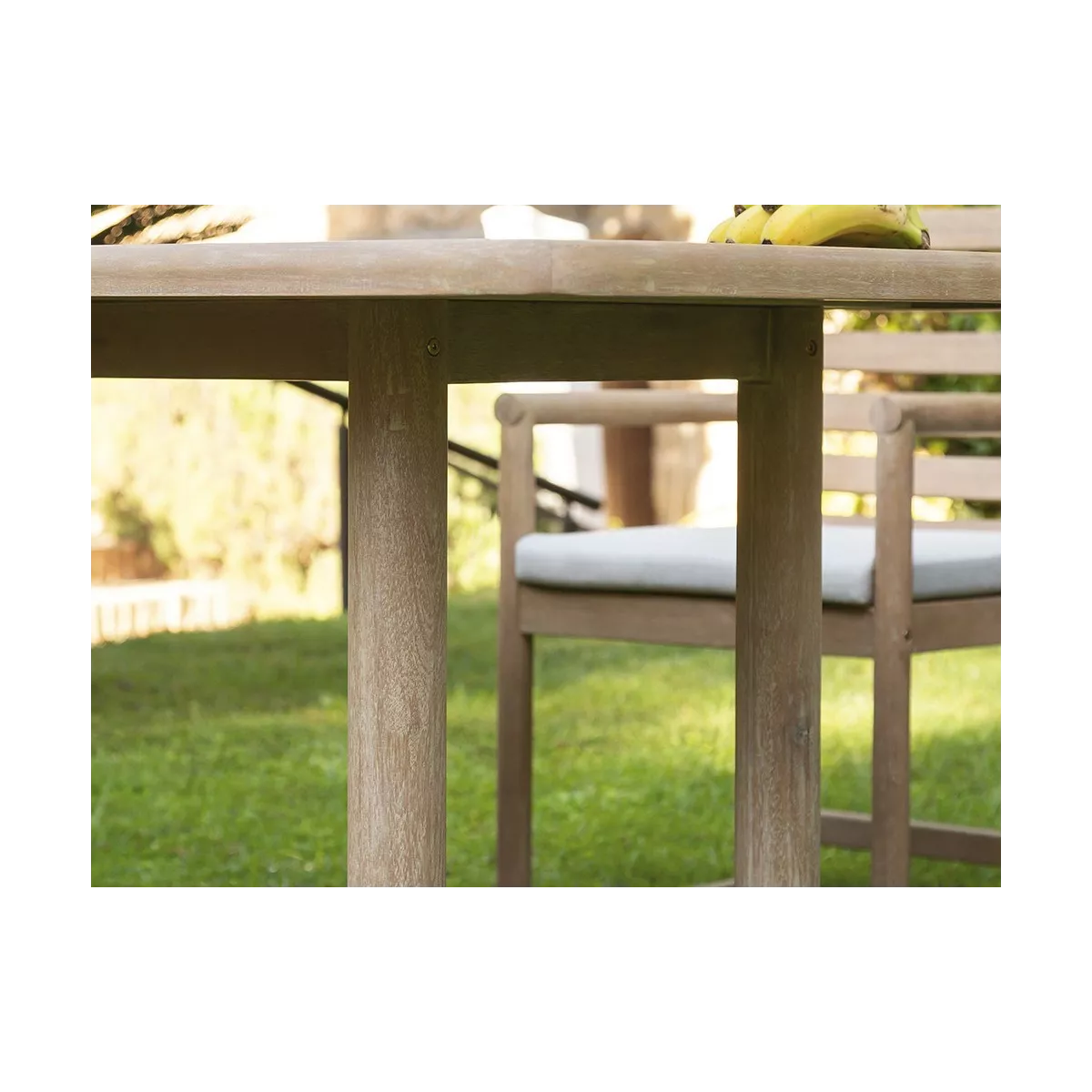 Fauteuil de Repas Green Eucalyptus