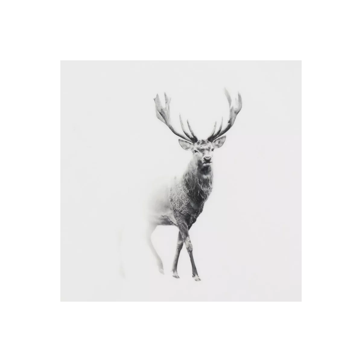 Plateau Cerf en Manguier 30x10