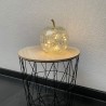 Lampe Led Pomme Argent 24x24