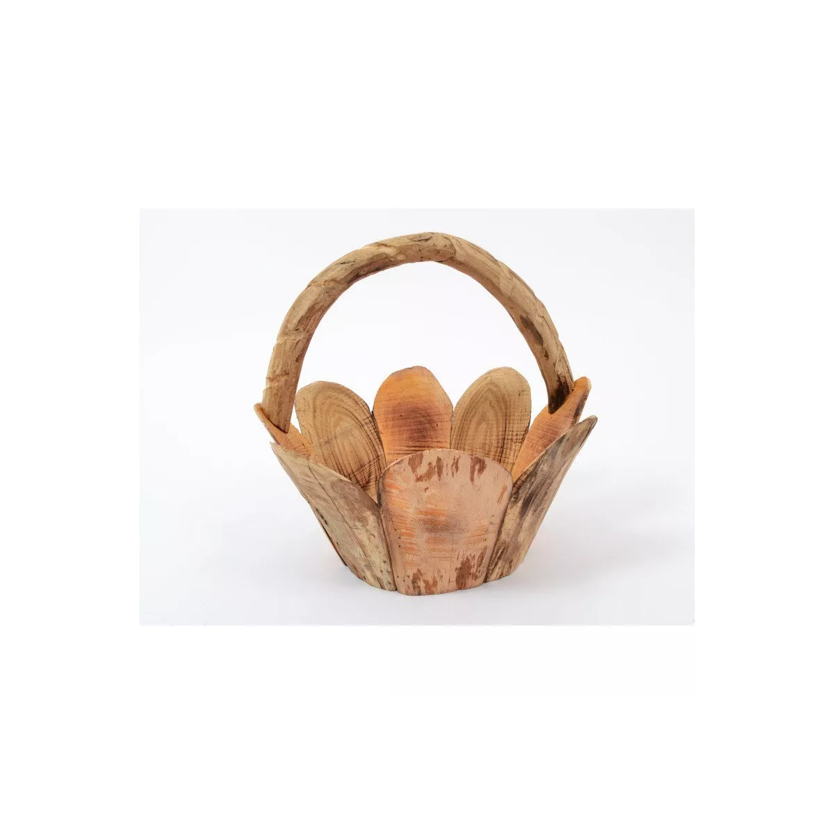 Coupe Lisea 34x34