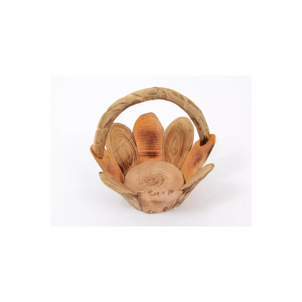 Coupe Lisea 34x34