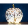 Lampe Led Pomme 24x24