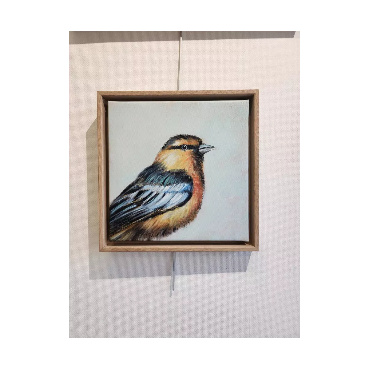 Tableau Oiseau Mesange Bleue II 34x34
