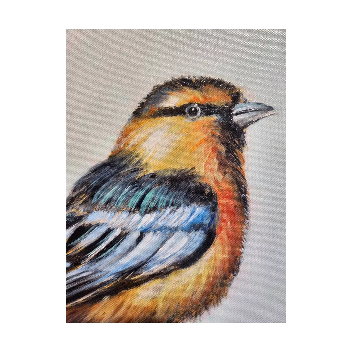 Tableau Oiseau Mesange Bleue II 34x34