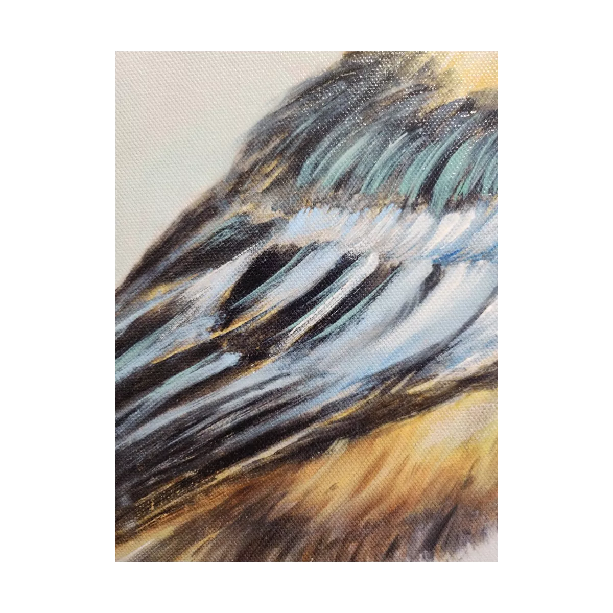 Tableau Oiseau Mesange Bleue II 34x34