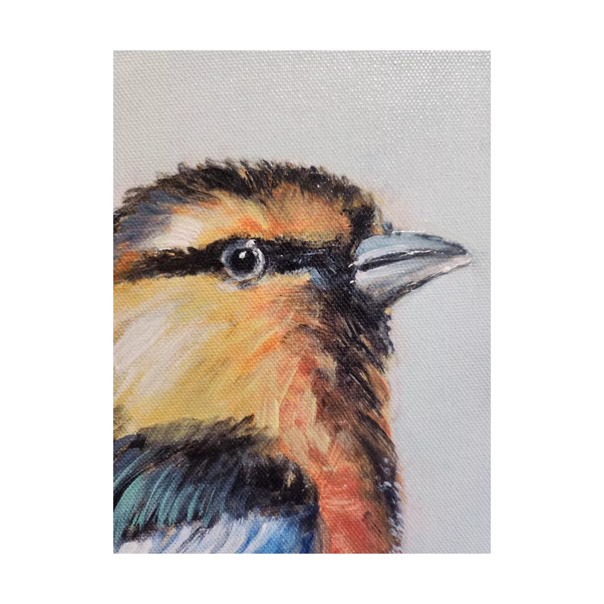 Tableau Oiseau Mesange Bleue II 34x34