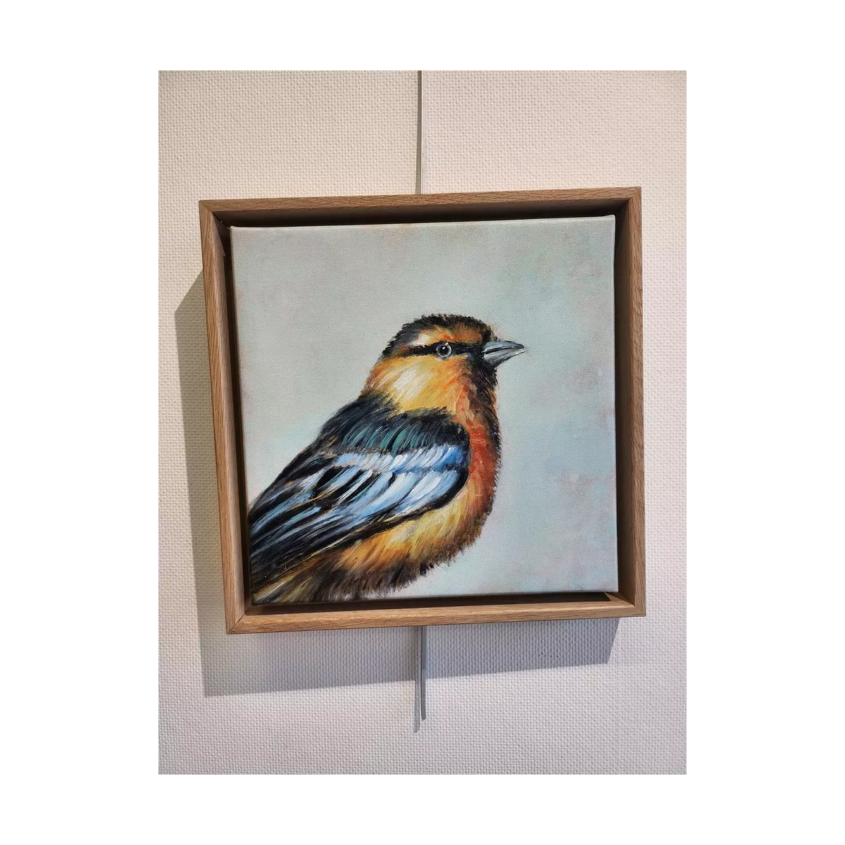 Tableau Oiseau Mesange Bleue II 34x34
