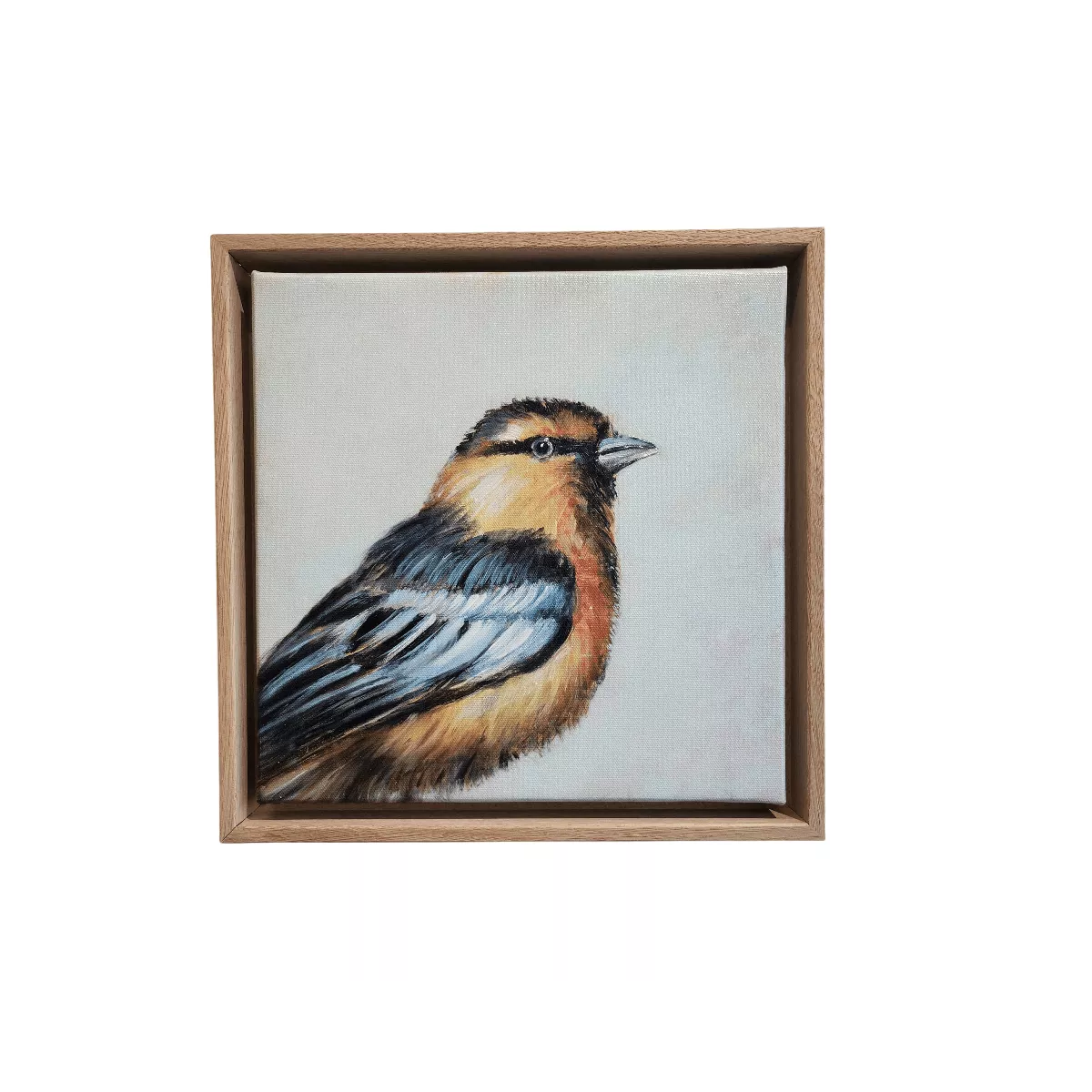 Tableau Oiseau Mesange Bleue II 34x34