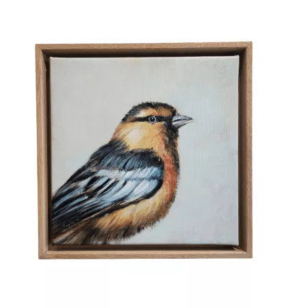 Tableau Oiseau Mesange Bleue II 34x34
