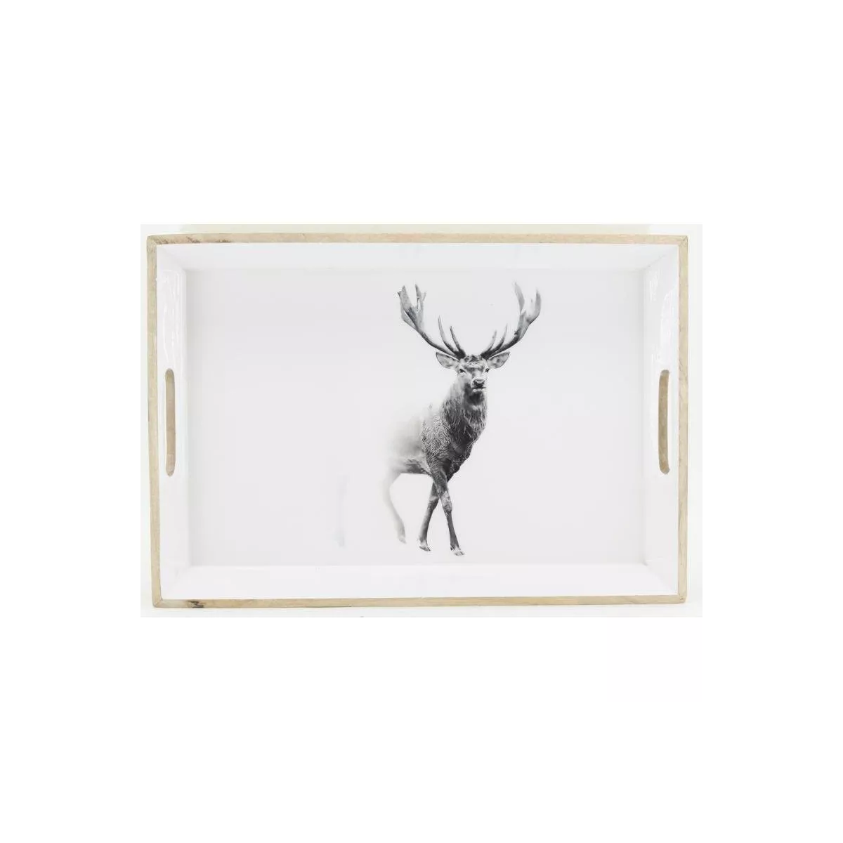 Plateau Cerf en Manguier 51x36