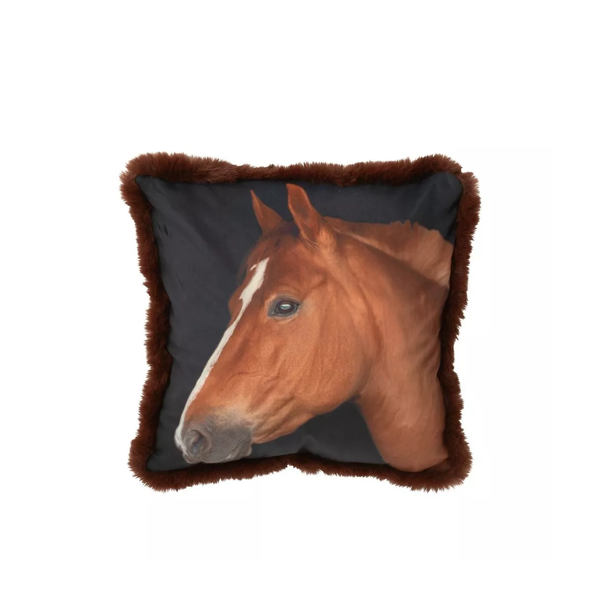 Coussin Cheval Gauche 40x40