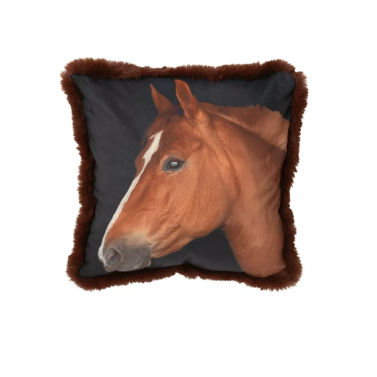 Coussin Cheval Gauche 40x40
