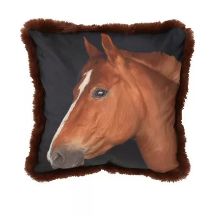 Coussin Cheval 40x40