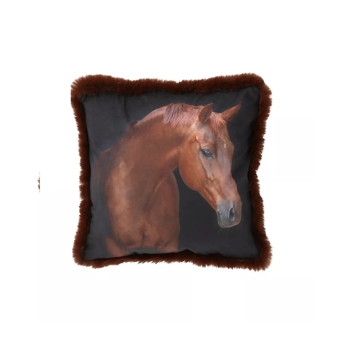 Coussin Cheval Droit 40x40