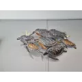 Déco Murale Métal Tortues