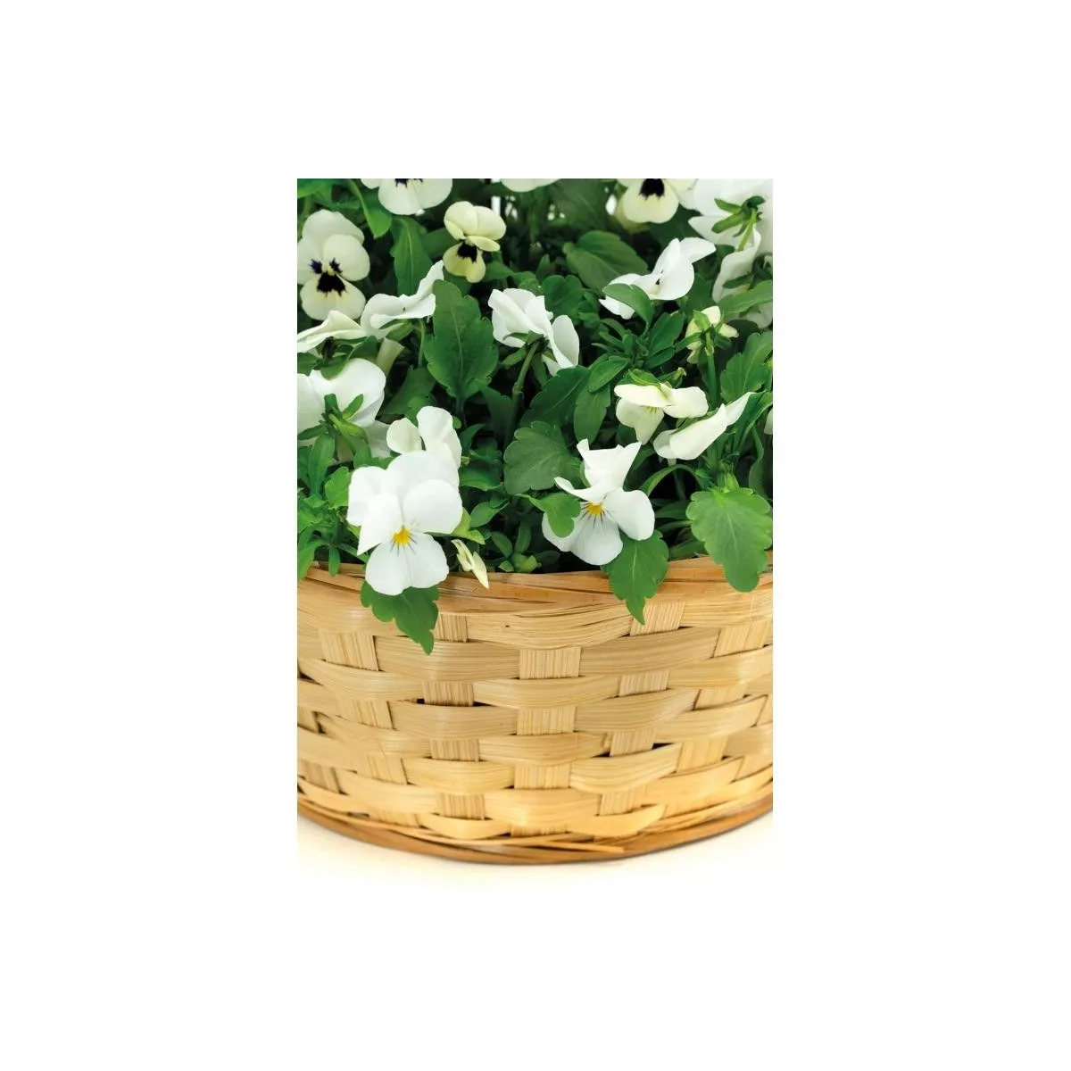 Corbeille Ronde Bambou 30x30