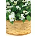 Corbeille Ronde Bambou 30x30