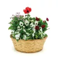 Corbeille Ronde Bambou 30x30