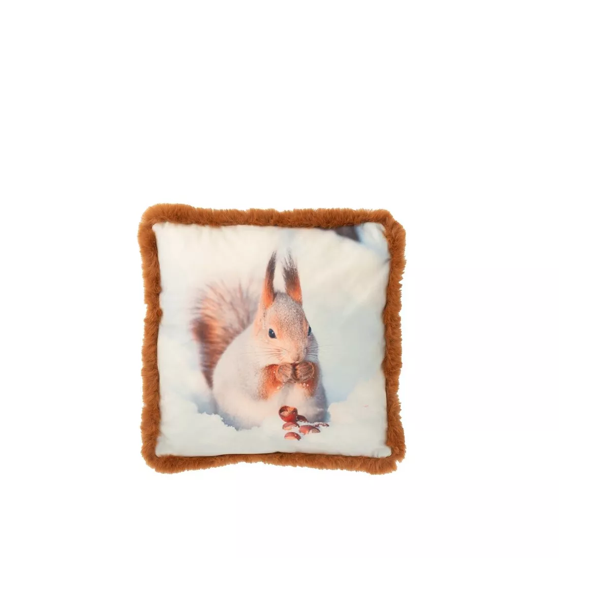 Coussin Ecureuil Blanc 40x40