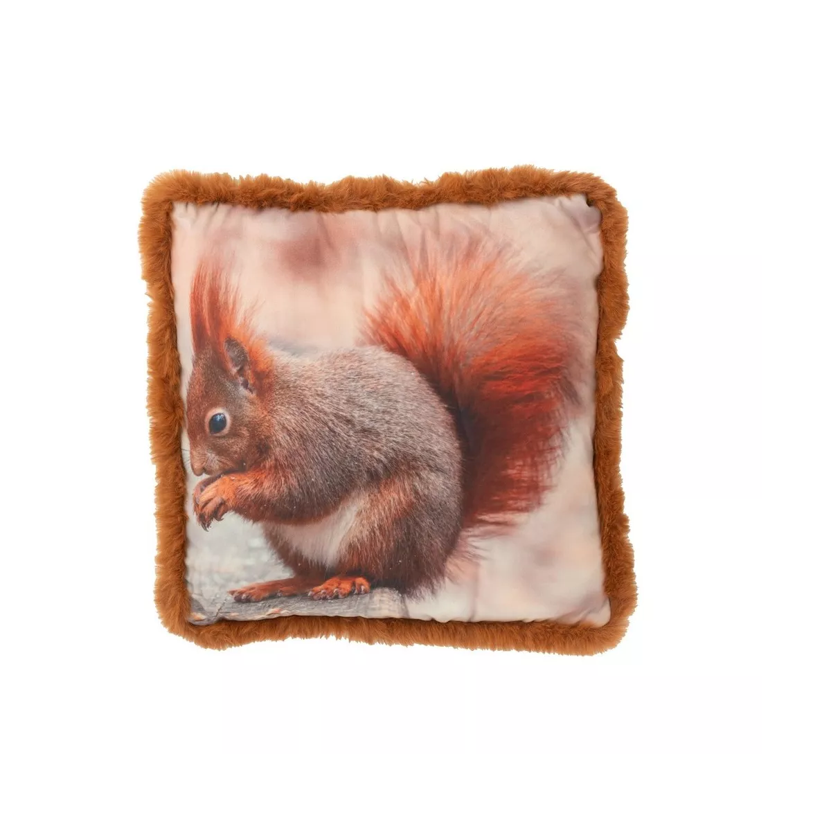 Coussin Ecureuil Roux  40x40