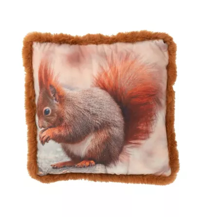 Coussin Ecureuil Roux  40x40
