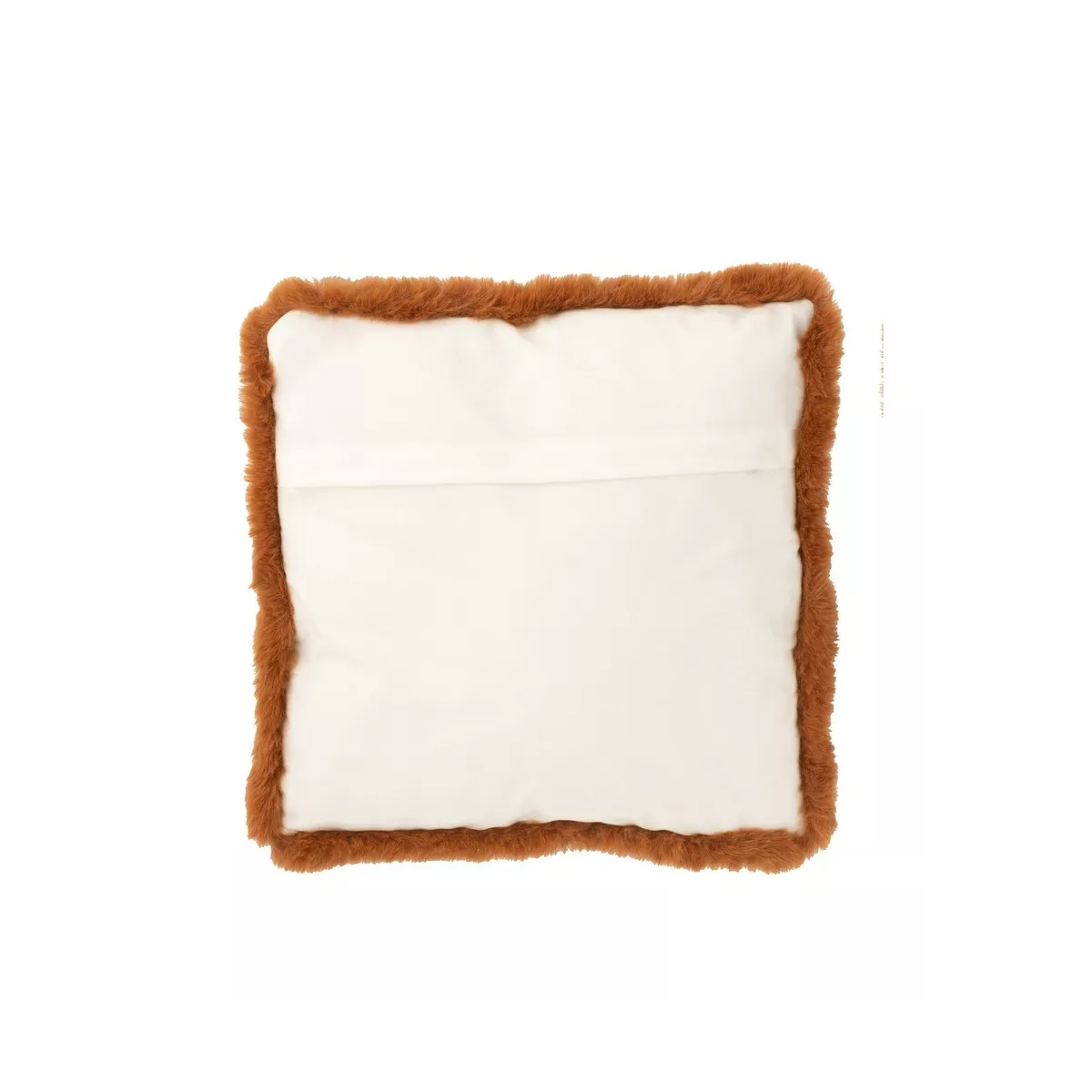 Coussin Ecureuil Roux  40x40