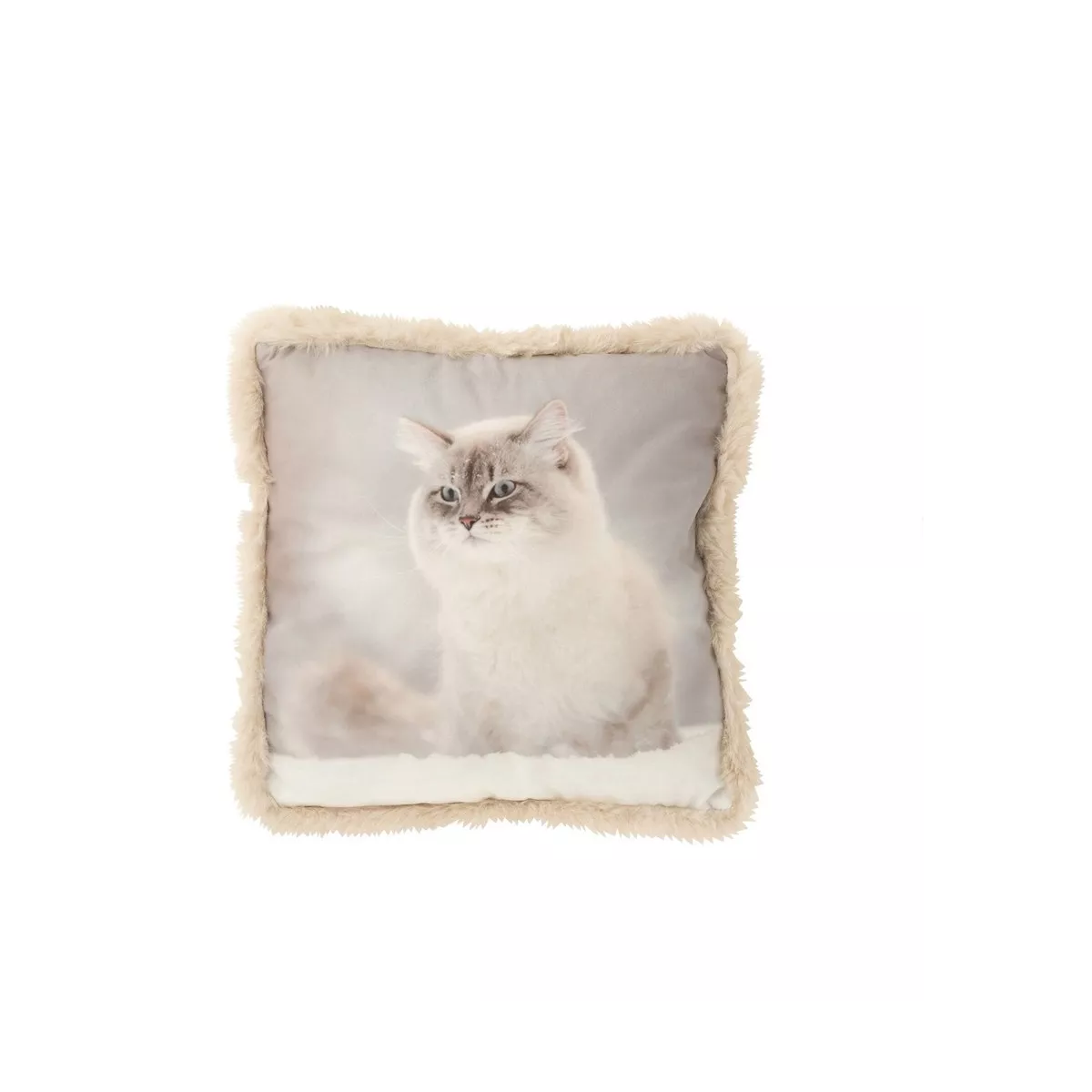Coussin Chat Hiver 40x40